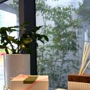 비누꽃으로만드는세상 | 천연비누 답례품 1순위! 네스티단테 이탈리아 고급 향수 비누(ft. 향추천)