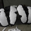 오렌지카 이미지