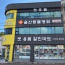 강동물병원 이미지