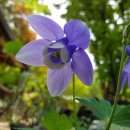 대연농원밥집 이미지