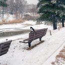 더메타포어