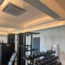 피티온 중동점 이미지