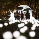 환상의 추억 이미지