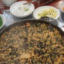 조가네갑오징어 이미지