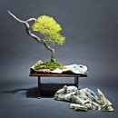 흙과 나무 이미지