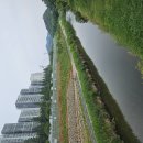 구갈레스피아 게이트볼장 | “용인시 기흥구 구갈레스피아, 도심 속 친환경 체육공원!”