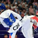 태백강원태권도체육관 이미지