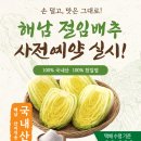 🥬 해남 절임배추 사전예약 실시 🥬 이미지