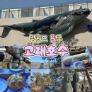 대안로 | [강원도 원주] 고래가 반겨주는 호수 뷰 맛집, 원주 '카페 고래호수' 아이와 함께한 내돈내산 솔직후기