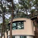 상화원 한국빌라 | 국내여행 죽도 상화원 숙소 한국빌라 숙박 조식 산책로 방문 후기