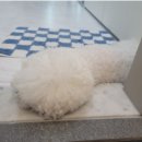 동백동물병원 이미지