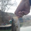 살구골낚시터 이미지