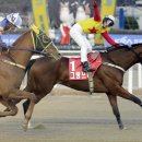 미스터국 이미지