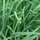 강동농협 로컬푸드 직매장 이미지