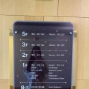 마레보야외수영장 이미지