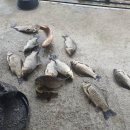 성호1좌대 이미지