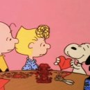 채움산부인과의원 이미지