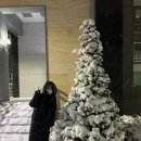 와이식자재마트 이미지