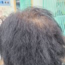 미앤미미용실 | 부평구미용실 미앤미헤어 손상모 복구 솔직 후기