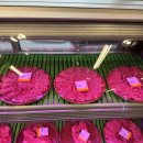 늘조은