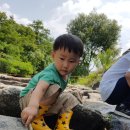 대림농장 이미지