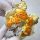 미식가 | 간장게장 착한미식가 후기와 가격, 구성 살펴보기