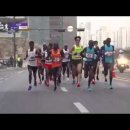 『국제 마라톤의 공식 거리는 42.195km (26마일 385야드)입니다』 이미지