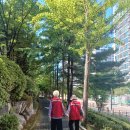 새말 경로당 이미지