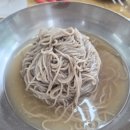 서옹 메밀 막국수 | 구리 막국수 맛집 내돈내산 추천｜웨이팅까지 있는 서옹메밀막국수 물막국수·들깨칼국수 후기