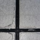 ROJIN(로진) 이미지