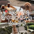 순심이네한우흑돼지 | 제주/안덕 강아지 동반고기집3곳(사계흑돼지,순심이네한우흑돼지,덕수아이흑돼지)