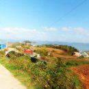 주식회사 베스트부동산중개법인 이미지