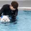 놀로 아쿠아센터 이미지