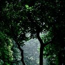 동굴가든 이미지