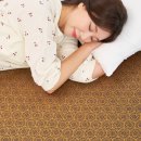 건강한의료기 | 전자파 걱정 끝! 한일의료기 전기장판, 써보니 이거 진짜 물건!