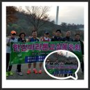 럭셔리중마 Daum카페