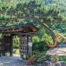 카페정원 이미지