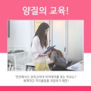 한국평생직업교육아카데미학원 이미지