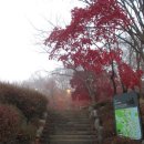 우면생태놀이터 이미지