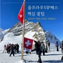 삼봉민박 | 스위스 융프라우VIP패스 후기 │ 지름길·포토존·멘리헨 트래킹코스 총정리