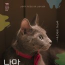 나만 없어 고양이 이미지