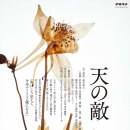 극단하늘 이미지