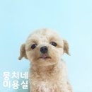 뭉치네 미용실 이미지