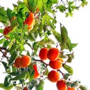 성원산업 이미지