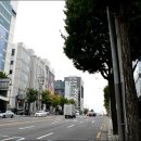 비에비스나무병원 이미지