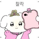 청년정육 이미지