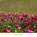 의성조문국사적지 이미지