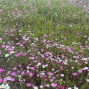 남성현출장소 이미지