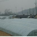 벌교학표대리점 이미지