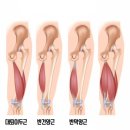 파워스트레칭 이미지